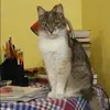 Отзыв от София Савина
